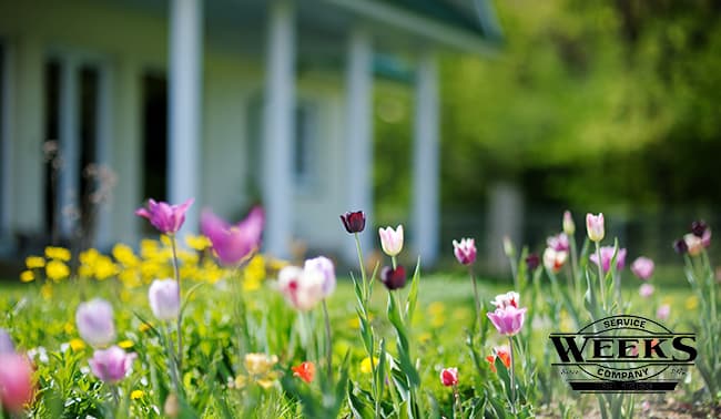HVAC system, spring, spring maintenance, HVAC unit