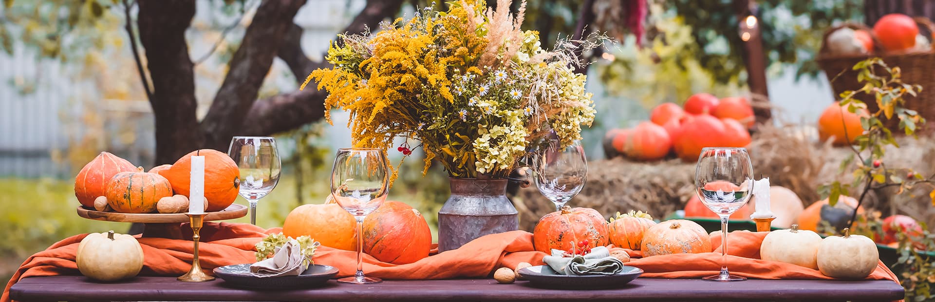 Top 5 Thanksgiving Plumbing Problems Homeowners Face