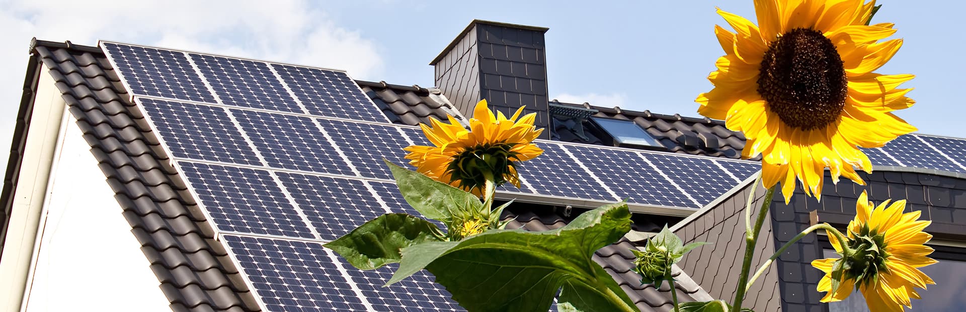 6 Easy Ways To Make Your Home More Eco-Friendly