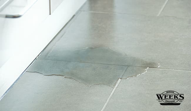 leak detection, early leak detection, water leak detection, water leak detection services, winter water leak detection, winter leak detection