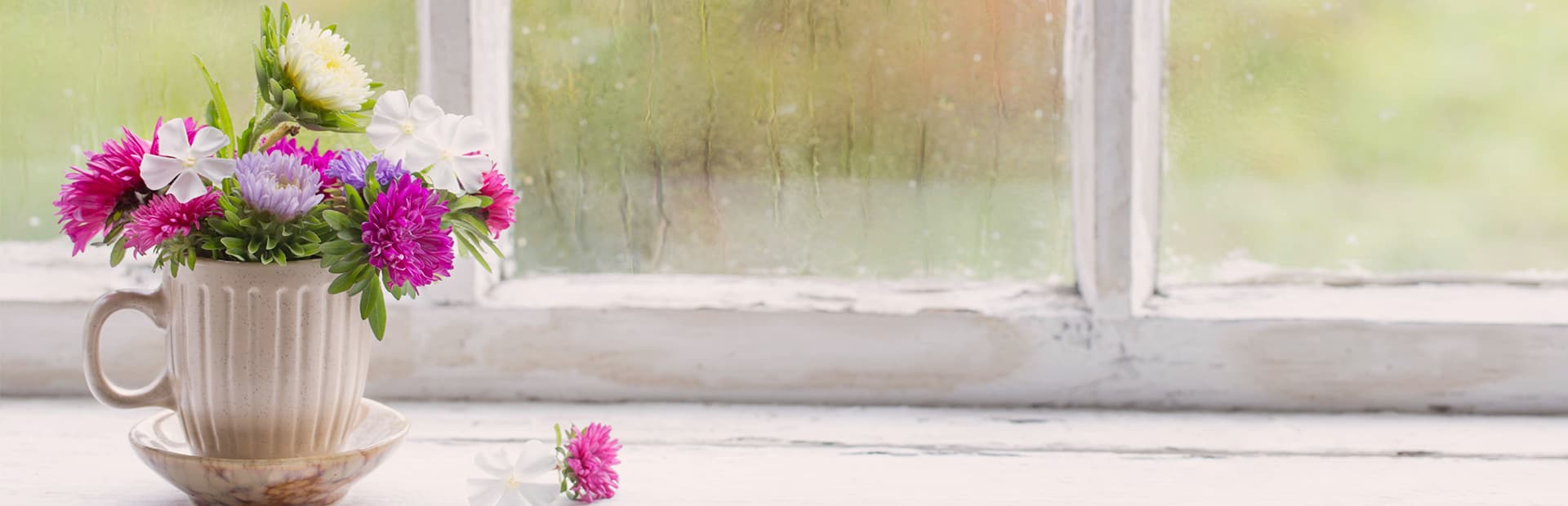 5 Ways To Improve Your Indoor Air Quality This Spring