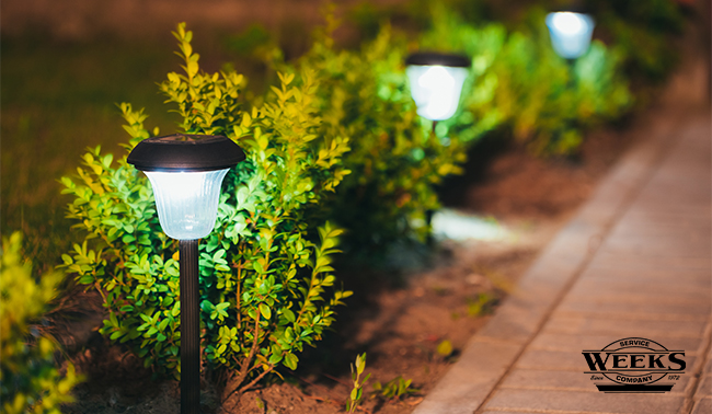 outdoor lighting, landscape lighting, path lighting, electrician, electrical, floodlights, downlights, garden lights, electrical lights, electricians