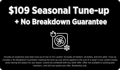 BOGO Tune-Up